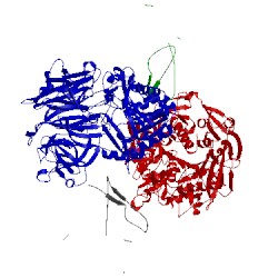 Image of CATH 4ffv