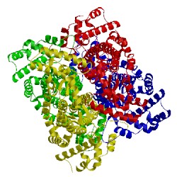 Image of CATH 4ffx