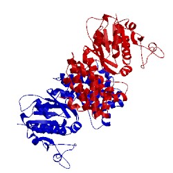 Image of CATH 4fgw