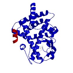 Image of CATH 4fgy