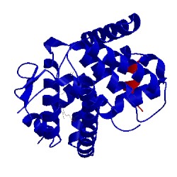 Image of CATH 4fhi
