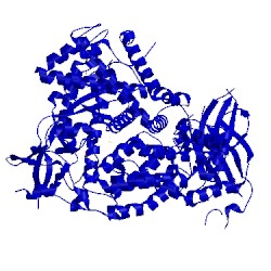 Image of CATH 4fjy