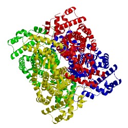 Image of CATH 4flc