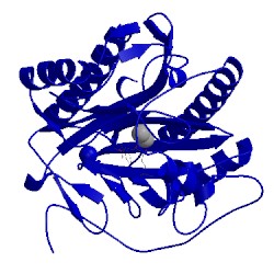 Image of CATH 4flk