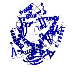 Image of CATH 4flv