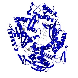 Image of CATH 4flx