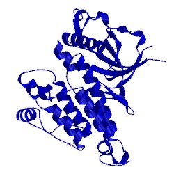 Image of CATH 4fnw