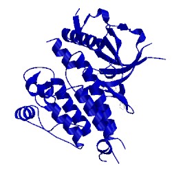 Image of CATH 4fob