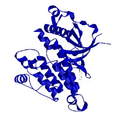 Image of CATH 4fod