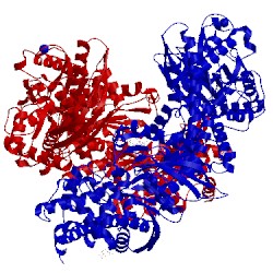 Image of CATH 4foe