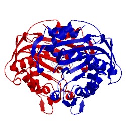 Image of CATH 4fqs