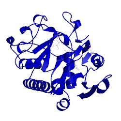 Image of CATH 4fra