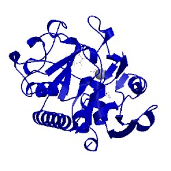 Image of CATH 4frd