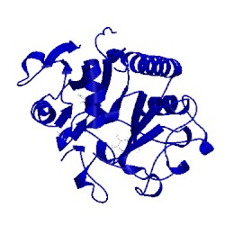 Image of CATH 4fre