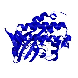 Image of CATH 4fst