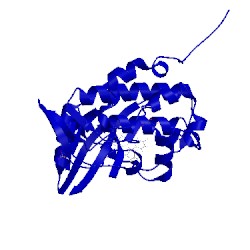 Image of CATH 4ft5