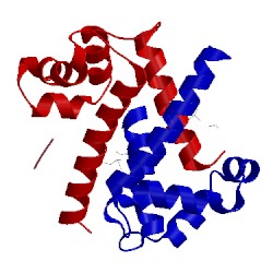 Image of CATH 4ftg