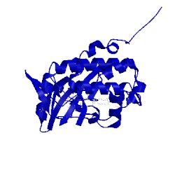 Image of CATH 4ftl