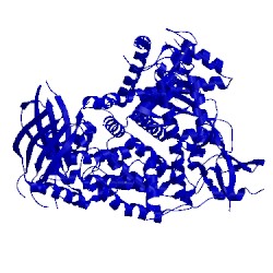 Image of CATH 4ful