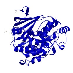 Image of CATH 4fv9