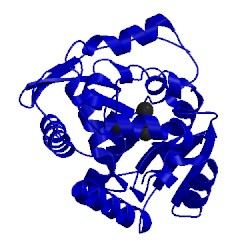 Image of CATH 4fwb