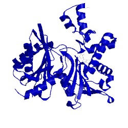 Image of CATH 4fwn