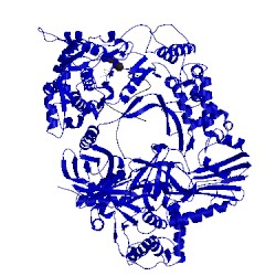 Image of CATH 4fwt