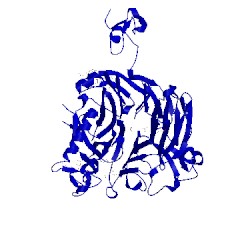 Image of CATH 4fww