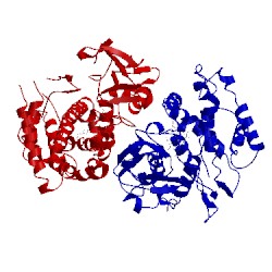 Image of CATH 4fxb