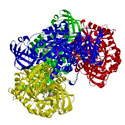 Image of CATH 4fxf
