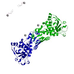 Image of CATH 4fyx