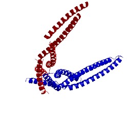 Image of CATH 4fzs