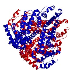 Image of CATH 4g03