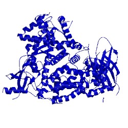 Image of CATH 4g11