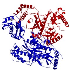 Image of CATH 4g1q