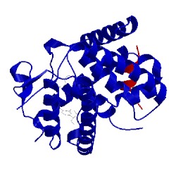 Image of CATH 4g21