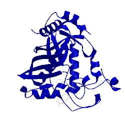 Image of CATH 4g2o