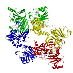 Image of CATH 4g3m
