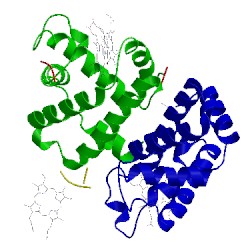 Image of CATH 4g51