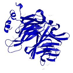 Image of CATH 4g55