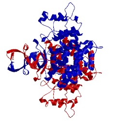 Image of CATH 4g6b