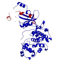 Image of CATH 4g6l