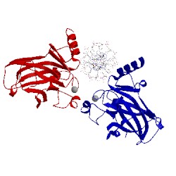 Image of CATH 4g82