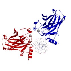 Image of CATH 4g83