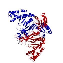 Image of CATH 4g85