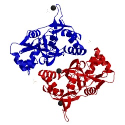 Image of CATH 4g8m