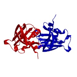 Image of CATH 4g8v