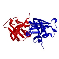 Image of CATH 4g8y