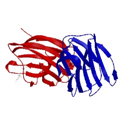Image of CATH 4gal