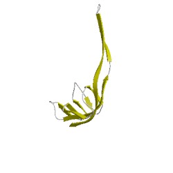 Image of CATH 4gauR00